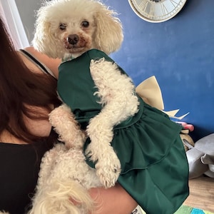 Jade hat ein Foto des gekauften Artikels hinzugefügt