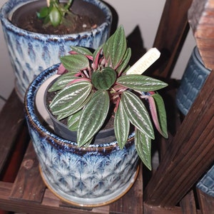 Sarah added a photo of their purchase