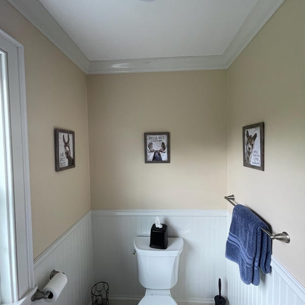 Set of 3 Navy Blue Bathroom Wall Art Cotton Co Bathroom Wall Decor Blue