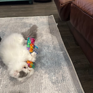 Crystal added a photo of their purchase