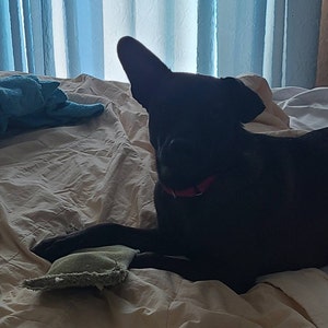 Sherri ha añadido una foto de su compra
