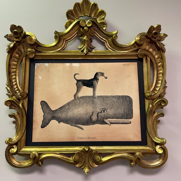 Cat Riding Moose Abyssinian Cat Riding Moose Vintage Collage Art Print ...