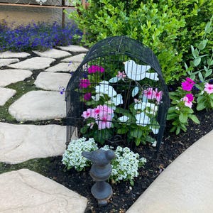 Susan added a photo of their purchase