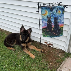 Anna added a photo of their purchase