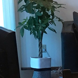 Hailey ha añadido una foto de su compra