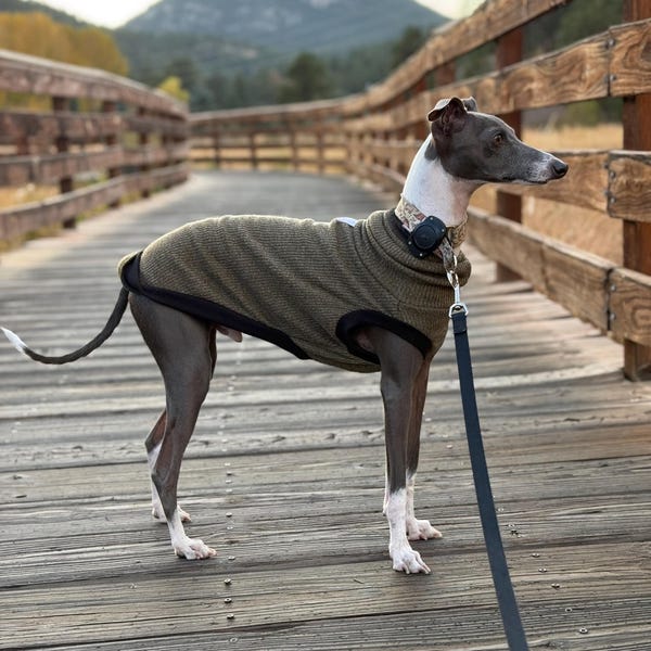 Italian Greyhound - Moss Sleeveless Rib Vest - Etsy
