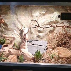 Sarah added a photo of their purchase