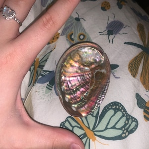 Brandi added a photo of their purchase