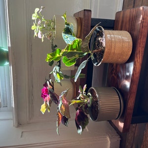 Nancy added a photo of their purchase