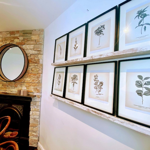Vintage Botanical Prints Set of 8 Botanical Poster Wildflower Print ...
