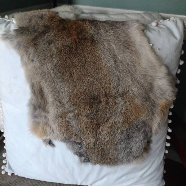1 Pcs Natural Color Rabbit Fur Pelts Craft Grade Assorted - Etsy