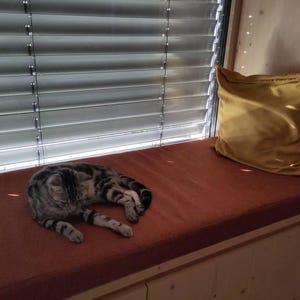 solala added a photo of their purchase