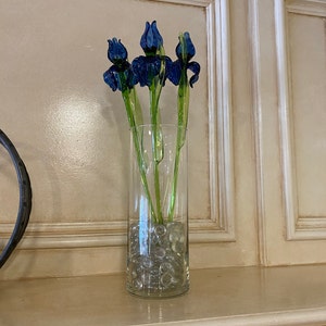 Kristine added a photo of their purchase