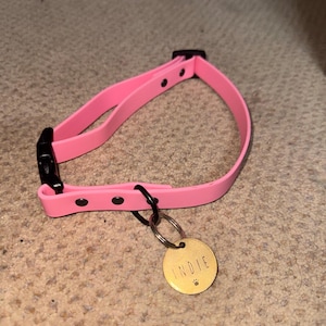 Abigail added a photo of their purchase