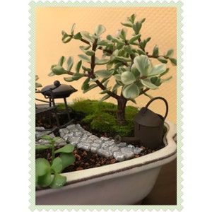 Inactive account added a photo of their purchase