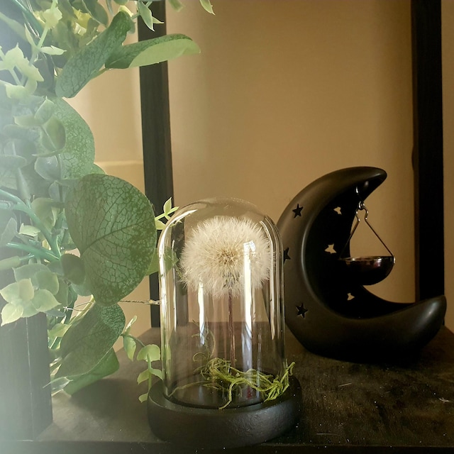 Pavilion Gift Company 77110 Uni Dandelion Wishes – Make A Wish Blanc En Céramique De Soja Serenity Bougie Parfumée