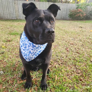 Holly ha añadido una foto de su compra