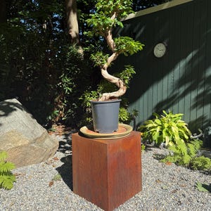 Philippe added a photo of their purchase