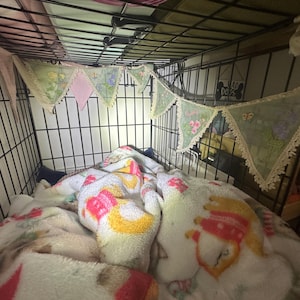Andrea added a photo of their purchase