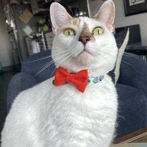 Alix ha añadido una foto de su compra