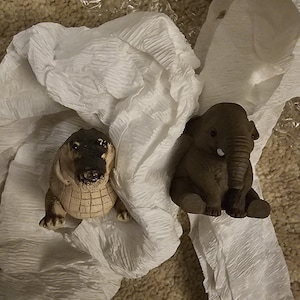 Sue-Hyun added a photo of their purchase