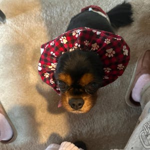 carole added a photo of their purchase
