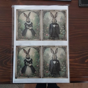 Mel ha aggiunto una foto del proprio acquisto