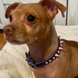 Bbmmayy Cute Dog Collar with Bling Rhinestone, Fancy Crystal Diamond  Glitter Pretty Jewel Soft Cat Collars for Small Medium Large Breed Dogs  Girl