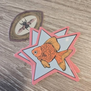 Mariah さんが購入した商品の写真を追加しました