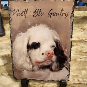 Kim added a photo of their purchase