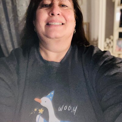 Goose Wizard Begone Spell Unisex Sweatshirt - Etsy