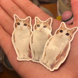 Pea added a photo of their purchase