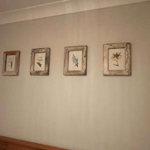 Helen added a photo of their purchase