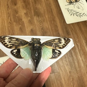 Naomi added a photo of their purchase