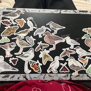 Holly a ajouté une photo de son achat