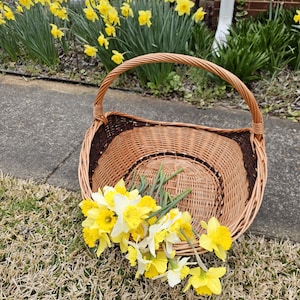 Ancien Panier à Poisson Créel Du New England, Tissé Main En Osier Avec Couvercle En Bois - 23 Cm De Haut