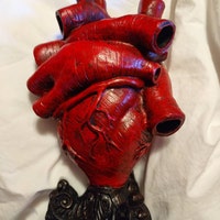 Anatomical Heart Vase Red Finish - Etsy UK