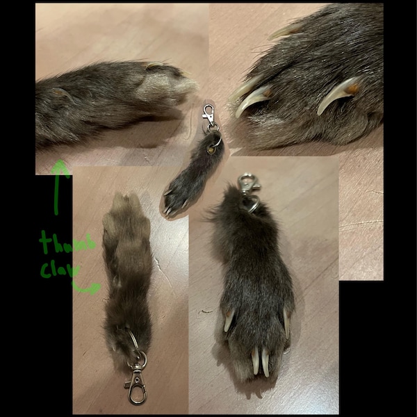 Lucky Rabbit Foot Keychain Charm, Natural Fur Color, Handmade - Etsy