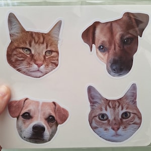 Cath added a photo of their purchase