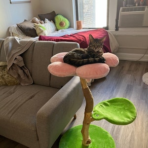 Olivia lade till en bild av sitt köp
