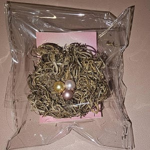 Diane added a photo of their purchase