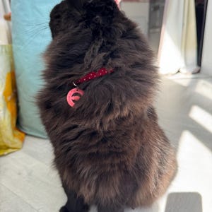 Mara added a photo of their purchase