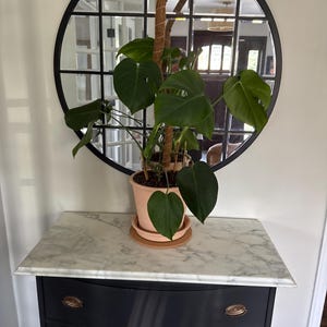 Phoebe added a photo of their purchase