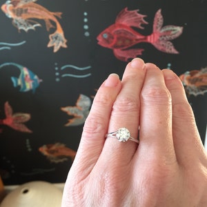 Sarah heeft een foto van de aankoop toegevoegd