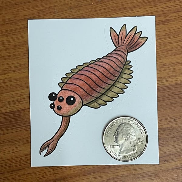 Barley Sticker, Grain Plant Decal, Botanical Crop Vinyl, Agricultural ...