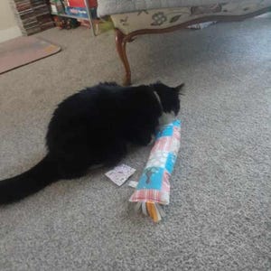 Sandy added a photo of their purchase