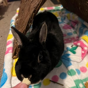 Heather added a photo of their purchase