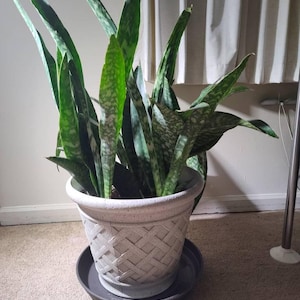 Chrystal added a photo of their purchase