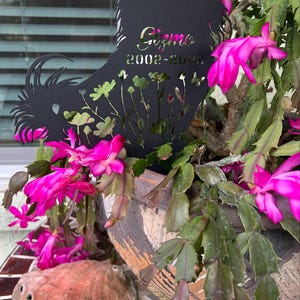 Jasmine added a photo of their purchase