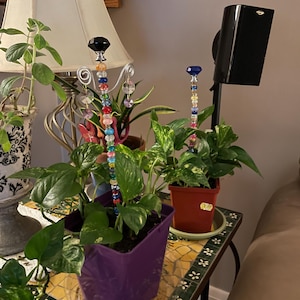 Tammy added a photo of their purchase